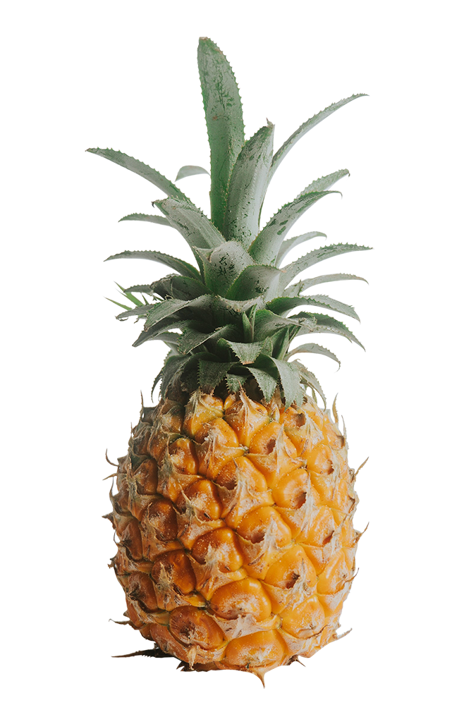 Pineapple images, Pineapple png, Pineapple png image, Pineapple transparent png image, Pineapple png full hd images download